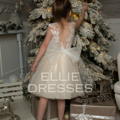 Tutu Dress with Nude skirt