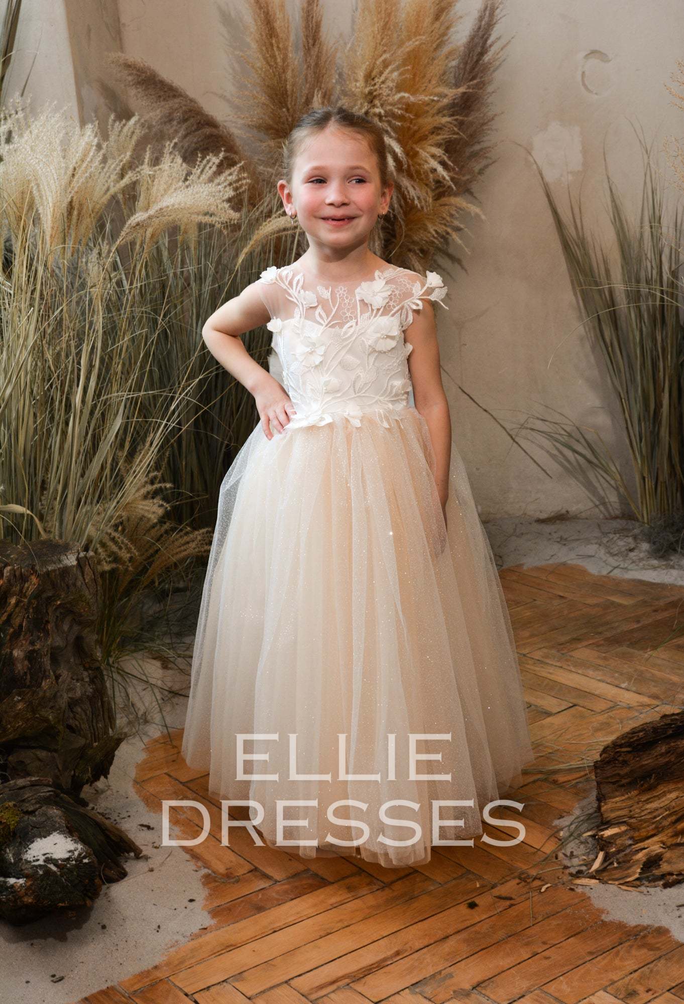 Nude Dress with Sparkle Tulle