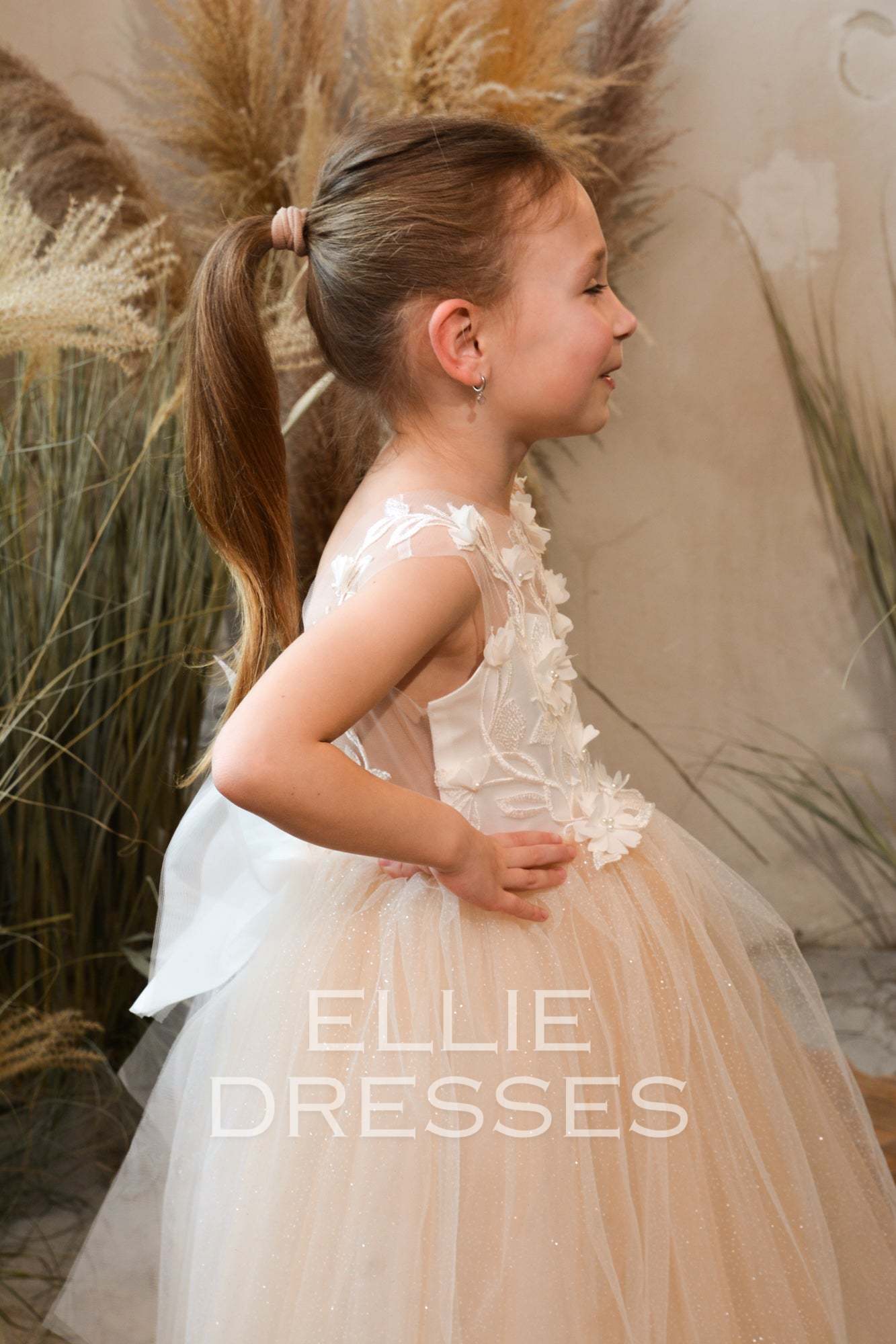 Nude Dress with Sparkle Tulle