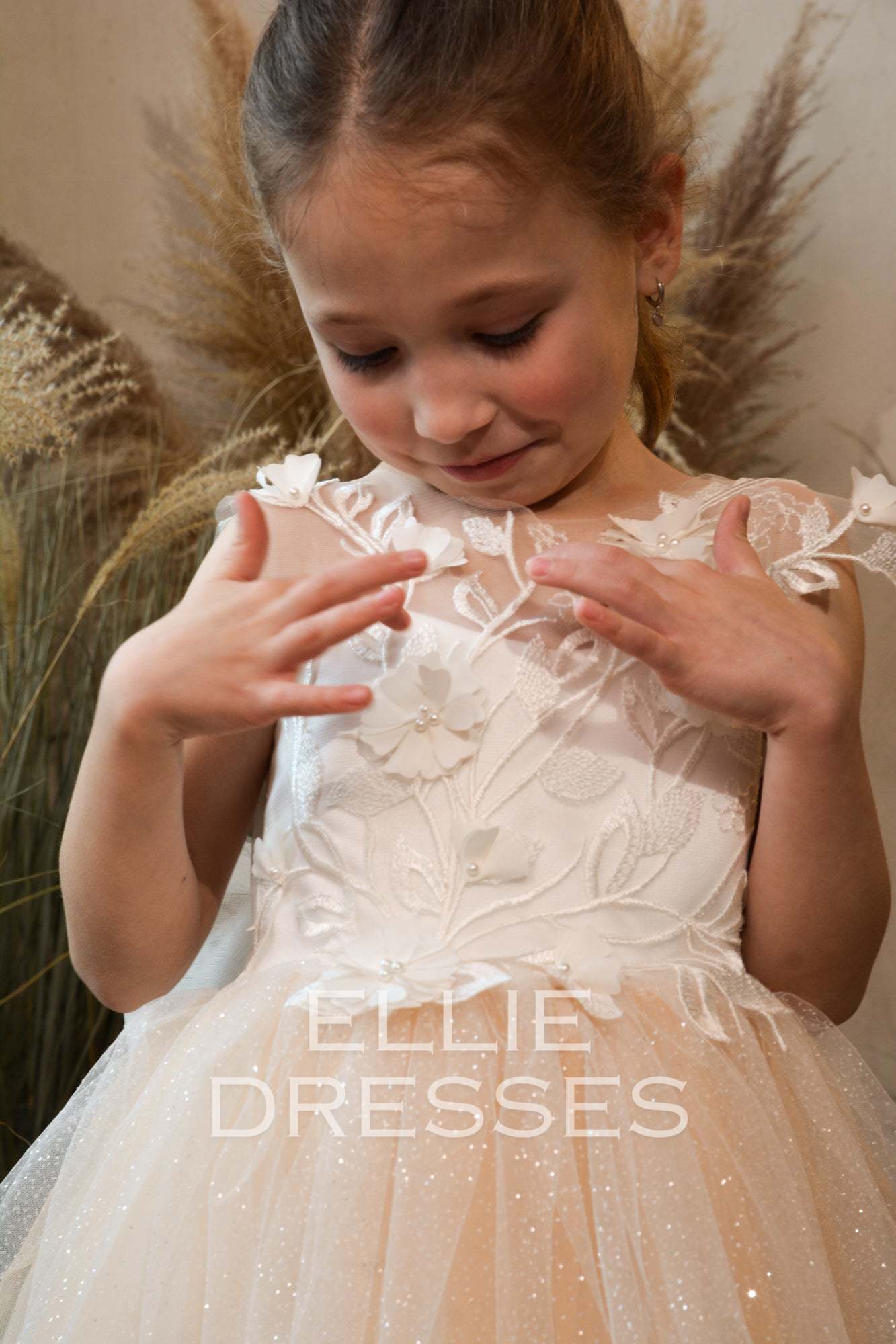 Nude Dress with Sparkle Tulle