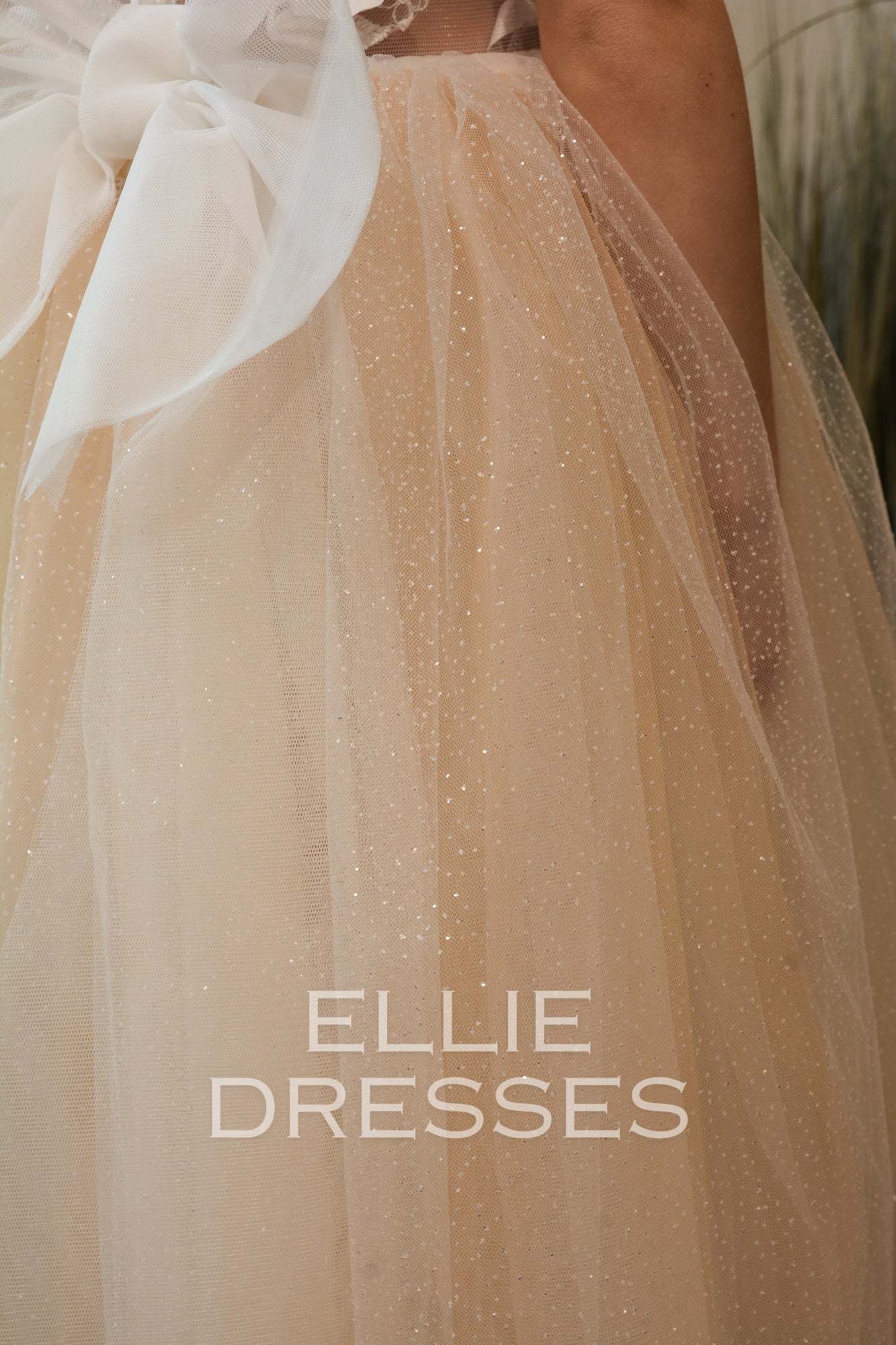 Nude Dress with Sparkle Tulle