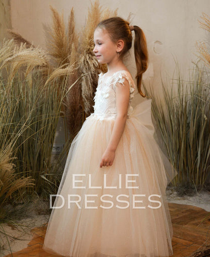 Nude Dress with Sparkle Tulle