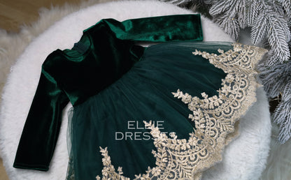 Tulle Skirt Dress with Gold Lace