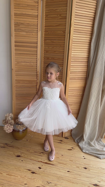 Toddler Tutu Dress